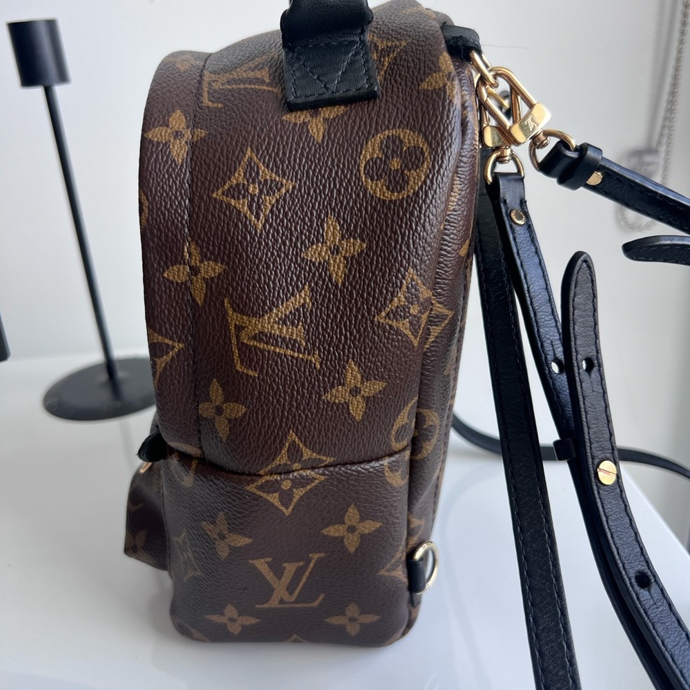 Louis Vuitton Palm Spring Mini Backpack - Picture 3 of 8